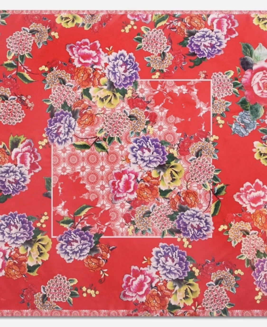 9036504