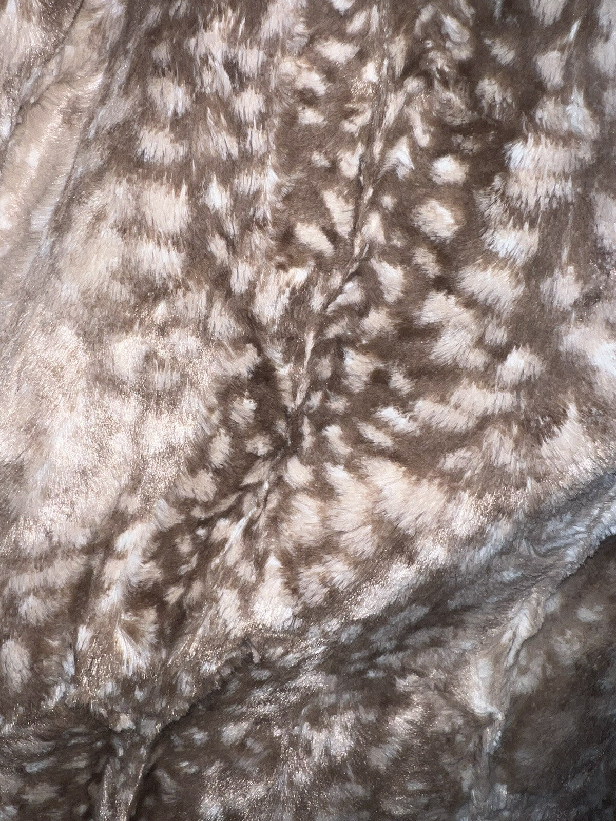 7963247