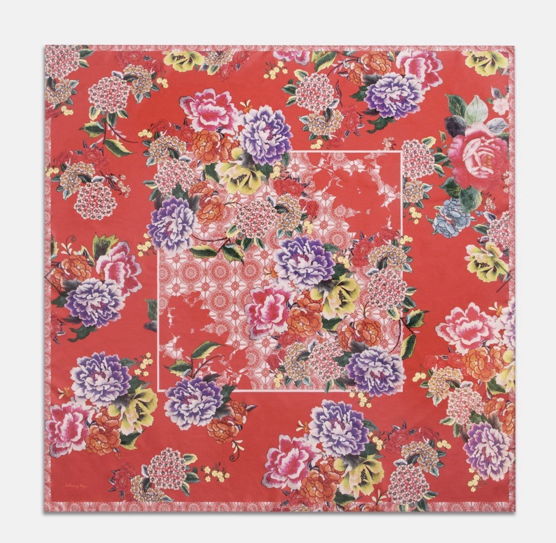 9036504