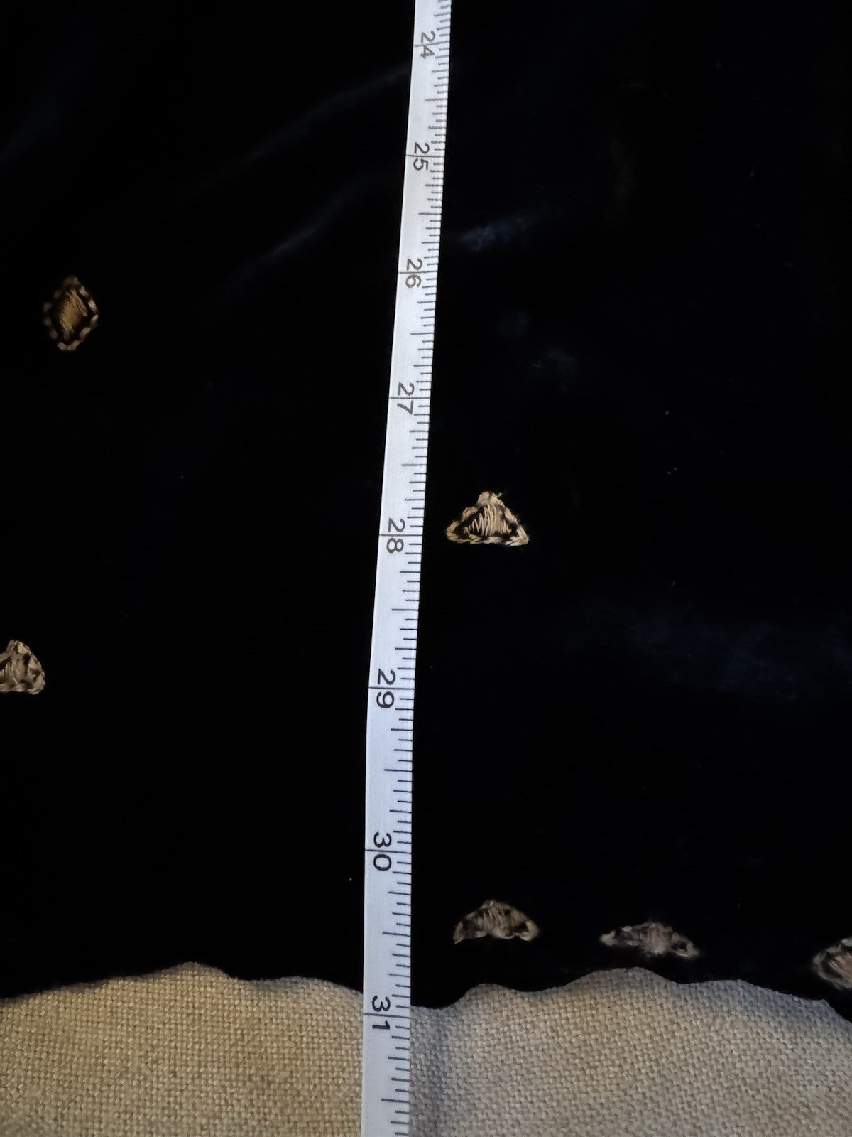 https://i.ebayimg.com/00/s/MTYwMFgxMjAw/z/y8wAAeSw7QlpF3zT/$_57.JPG